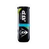 Dunlop ATP Championship Regular Duty Tennis Ball - Individual Can (3 Balls)